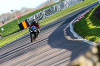 Oulton-Park-20th-March-2020;PJ-Motorsport-Photography-2020;anglesey;brands-hatch;cadwell-park;croft;donington-park;enduro-digital-images;event-digital-images;eventdigitalimages;mallory;no-limits;oulton-park;peter-wileman-photography;racing-digital-images;silverstone;snetterton;trackday-digital-images;trackday-photos;vmcc-banbury-run;welsh-2-day-enduro